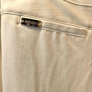 Express Editor Pants